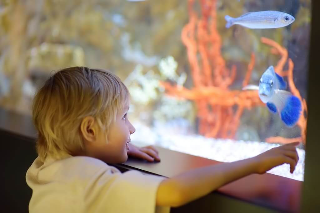 Criança em um museu oceanográfico em Balneário Piçarras
