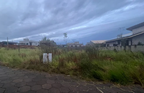 0202505190726431.jpeg